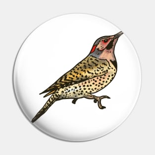 Northern Flicker Pin