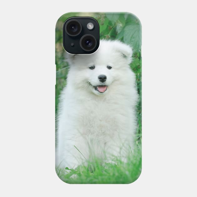 Samoyed puppy portrait Phone Case by PetsArt