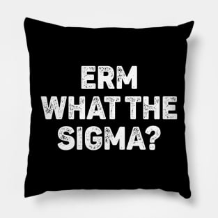 Erm What The Sigma Pillow