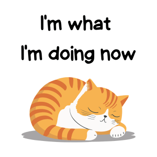 Sleeping Affirmation Cat - I'm what I'm doing now | Cat Lover Gift | Law of Attraction | Positive Affirmation | Self Love T-Shirt