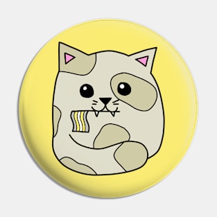 demigender pride flag cat Pin