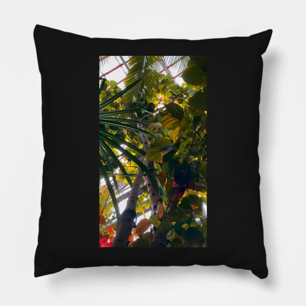 botany Pillow by taya-stdnk