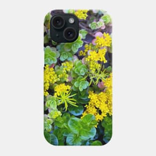 Stonecrops in Spring Phone Case