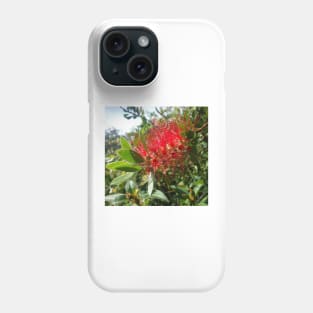 Bottlebrush Flower, photography by Immortal Peaches Phone Case