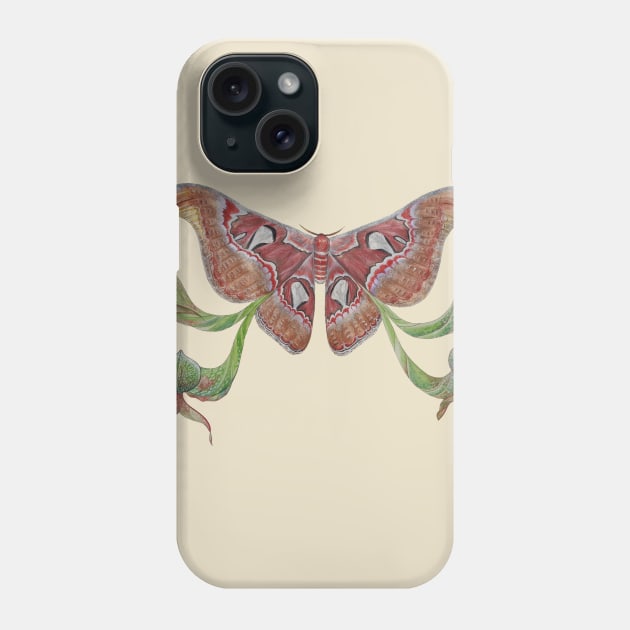 Attacus atlas Moth and Darlingtonia californica Phone Case by JJacobs