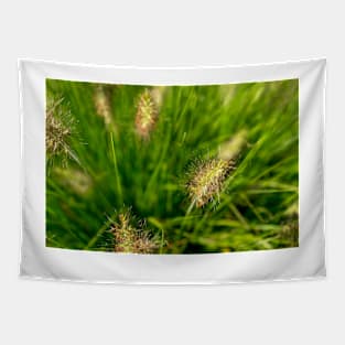 Bright spring grass field with sunlight bokeh background Tapestry