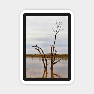 Dead Tree Digitised Magnet