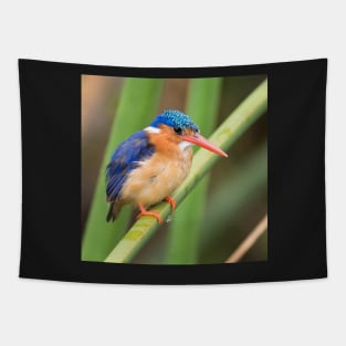 Malachite Kingfisher Tapestry