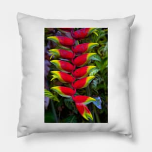 Heliconia Pillow