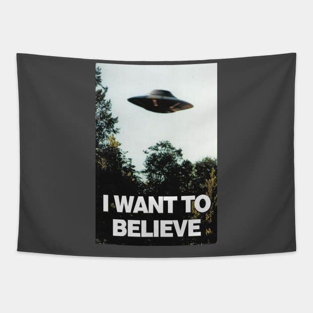 I Want To Believe Tapestry by discpeplum