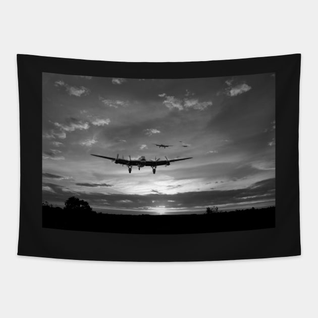 Made It Home - Mono Tapestry by aviationart