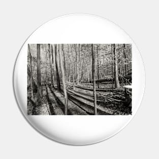 Long Shadows in the Forest Pin