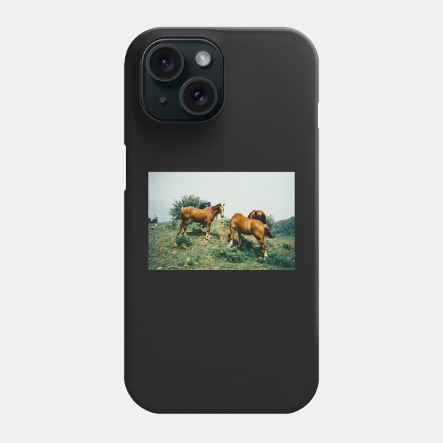 Wild Horses Shot on Porta 400 Film Phone Case by visualspectrum