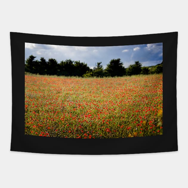 Poppy Field Tapestry by heidiannemorris