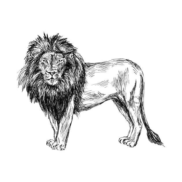 Lion Image by rachelsfinelines