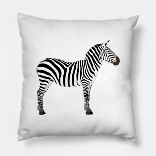 Zebra Pillow