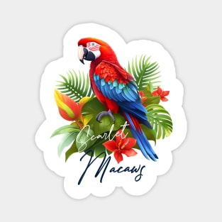 Scarlet Macaws Magnet