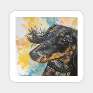 Sausage dog , watercolour background Magnet