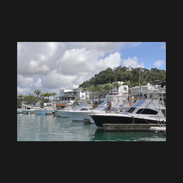 The Harbour at Quepos by Carole-Anne