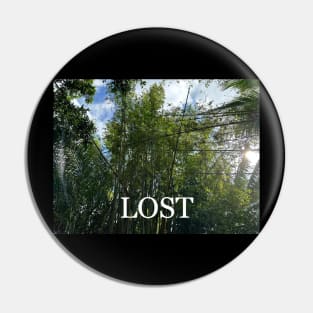 Lost Pin