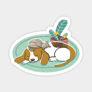 Sleepy Beagle and Cat Magnet