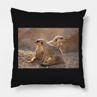 Yawning, not snarling - Meerkats stand guard Pillow