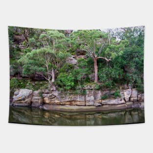 Cowan Creek, Ku-ring-gai Chase National Park, Sydney, NSW, Australia Tapestry