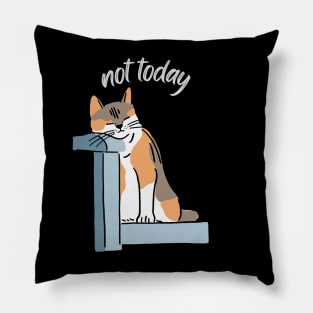 Lazy Cat Nope not Today funny sarcastic messages sayings and quotes Pillow