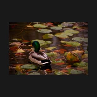 Mallard Duck T-Shirt