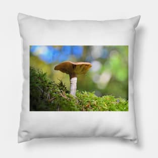 Magical Mushroom Pillow