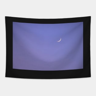 Crescent Moon, Purple Sky Tapestry