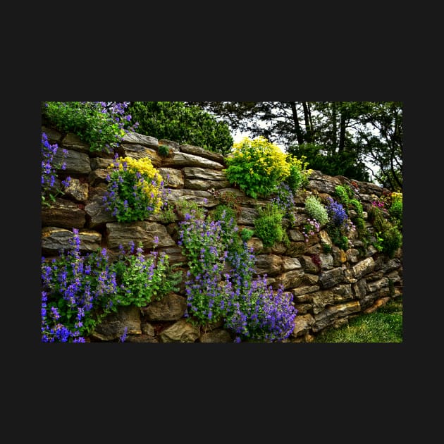 Rock Wall Flower Garden by JimDeFazioPhotography