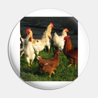 Poultry Pin