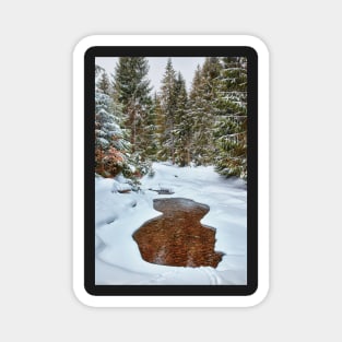 Mountain river in the winter Magnet