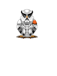 Storm owl Magnet