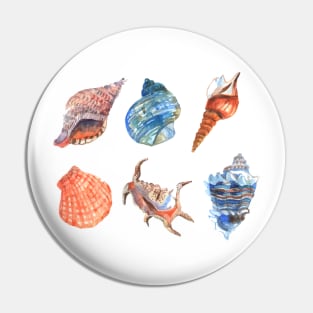 Shell Collection Pin