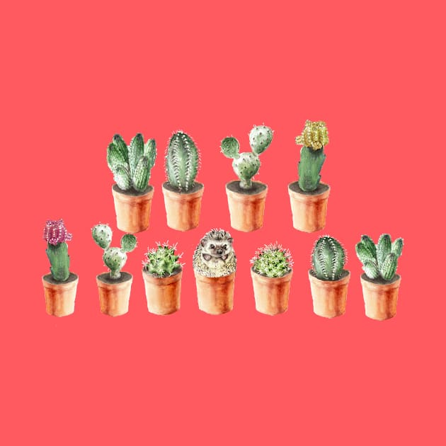 Cactus and friends by wanderinglaur