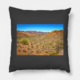 Apache Trail Scenic Drive View Pillow