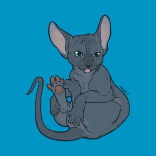 Sphynx Toes T-Shirt