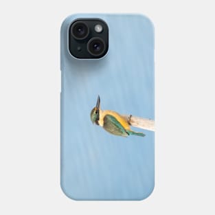 Beautiful sacred kingfisher portrait Phone Case