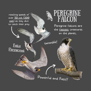 Animal facts - Peregrine Falcon T-Shirt