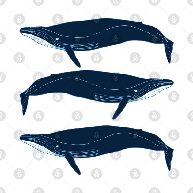 Cetaceans by mrsmauve