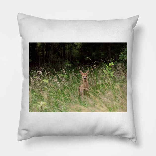 Baby deer in the woods Pillow by Photomisak72