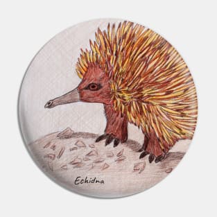 Echidna 2 Pin