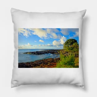 North Shore Study 1 Pillow