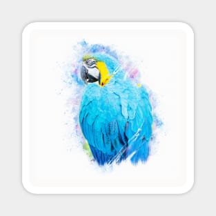 Parrot Bird Animal Wildlife Forest Jungle Nature Travel Digital Painting Magnet