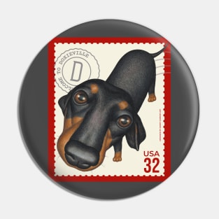 Funny dachshund looking  innocently on red trim stamp Pin