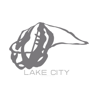 Lake City Resort 3D T-Shirt