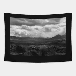 Desert Storm In Black And White Tapestry