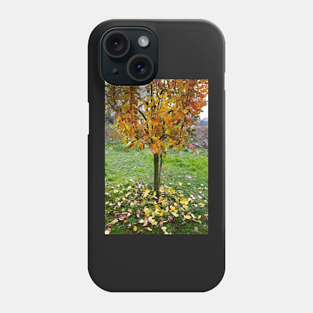 Apple tree in the autumn Phone Case by naturalis